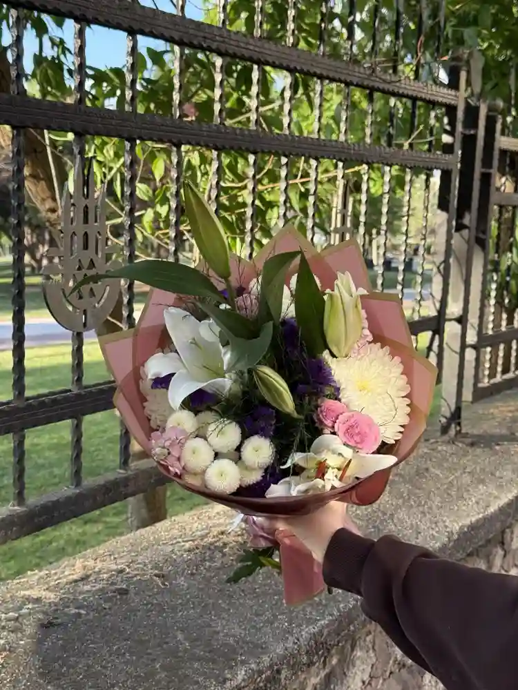 Lilyum Ve Anastasia