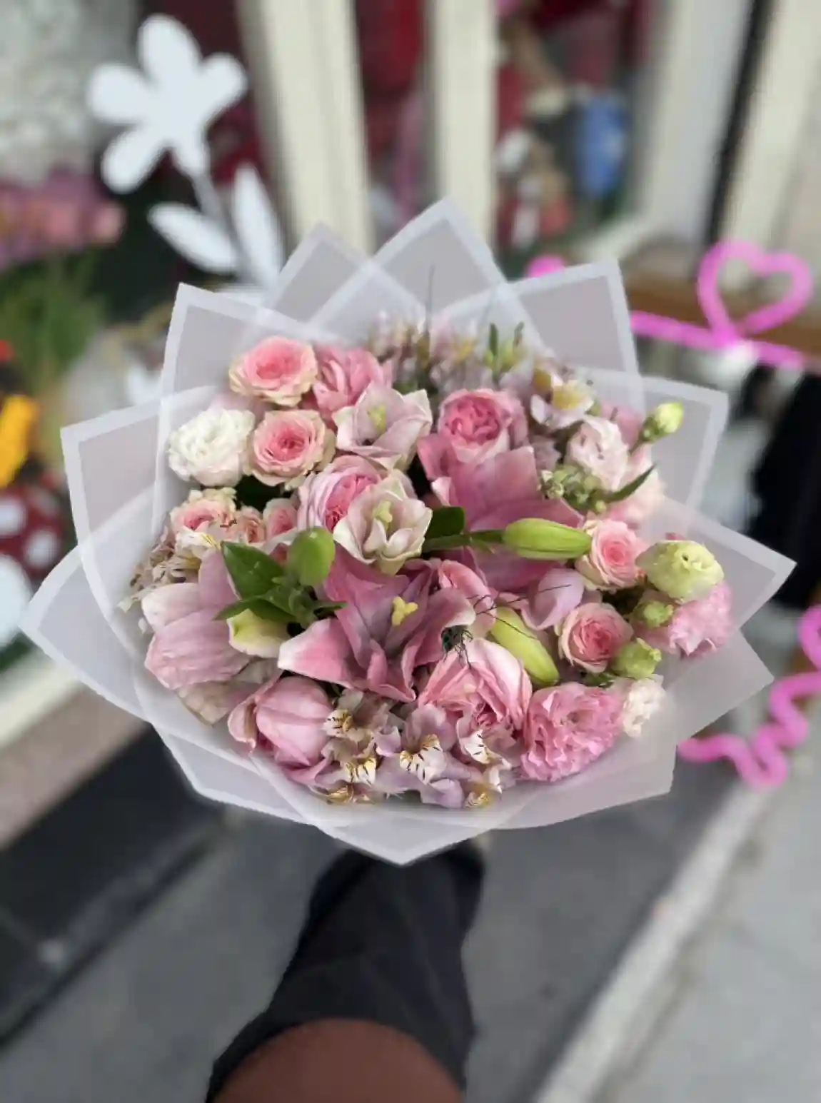 Pembe Düş Rüyası