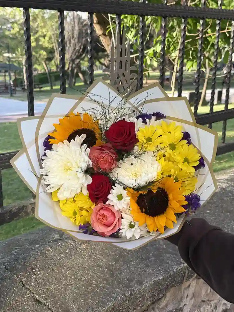 Sarı Papatya Ve Ayçiçekleri