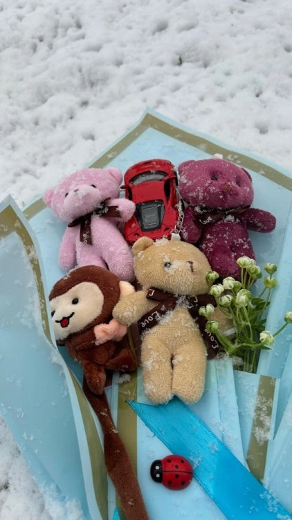 4 Peluş 1Araba Buketi 