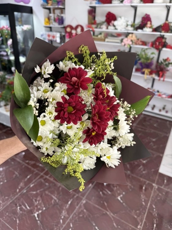 Bordo Ve Beyaz Papatyalar